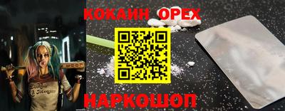 СК Будённовск